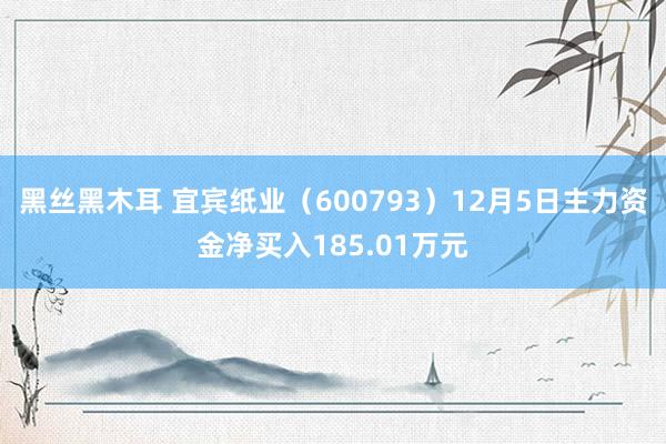 黑丝黑木耳 宜宾纸业（600793）12月5日主力资金净买入185.01万元