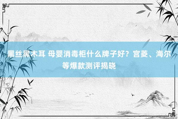 黑丝黑木耳 母婴消毒柜什么牌子好？宫菱、海尔等爆款测评揭晓