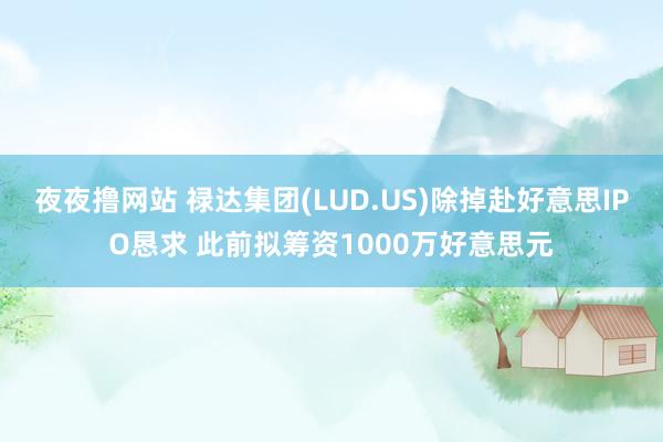 夜夜撸网站 禄达集团(LUD.US)除掉赴好意思IPO恳求 此前拟筹资1000万好意思元