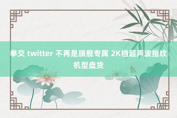 拳交 twitter 不再是旗舰专属 2K档超声波指纹机型盘货