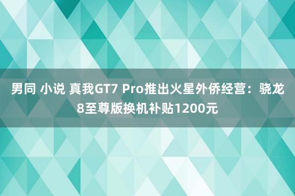 男同 小说 真我GT7 Pro推出火星外侨经营：骁龙8至尊版换机补贴1200元