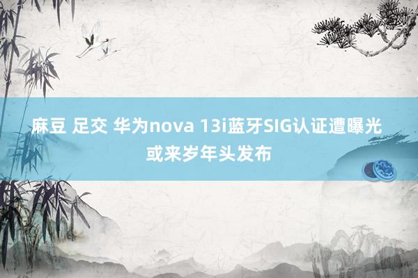 麻豆 足交 华为nova 13i蓝牙SIG认证遭曝光 或来岁年头发布