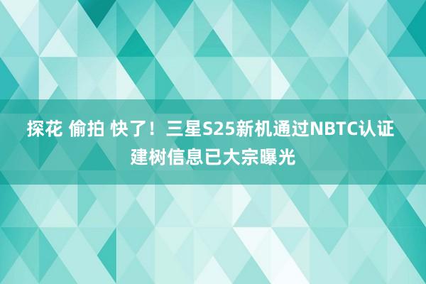 探花 偷拍 快了！三星S25新机通过NBTC认证 建树信息已大宗曝光