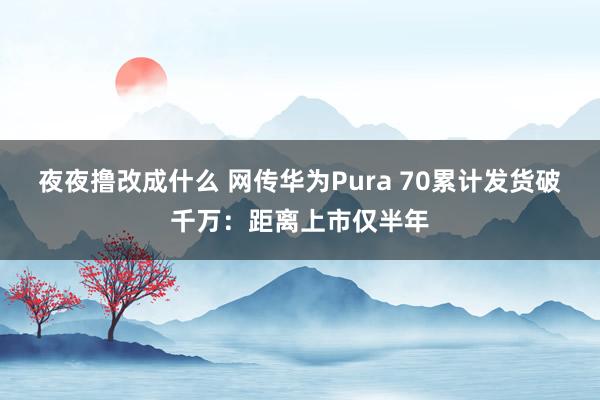 夜夜撸改成什么 网传华为Pura 70累计发货破千万：距离上市仅半年