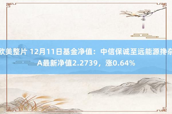 欧美整片 12月11日基金净值：中信保诚至远能源搀杂A最新净值2.2739，涨0.64%