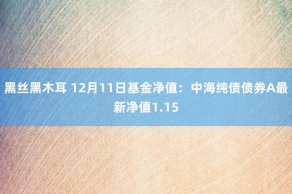 黑丝黑木耳 12月11日基金净值：中海纯债债券A最新净值1.15