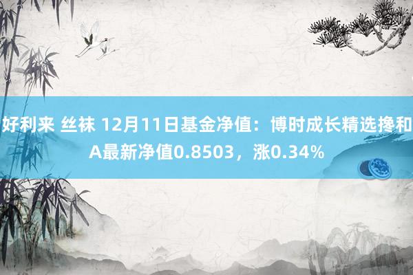 好利来 丝袜 12月11日基金净值：博时成长精选搀和A最新净值0.8503，涨0.34%