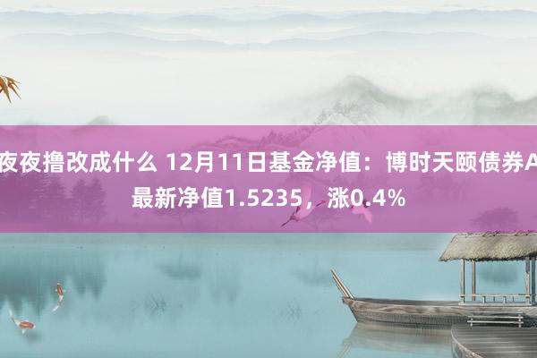 夜夜撸改成什么 12月11日基金净值：博时天颐债券A最新净值1.5235，涨0.4%