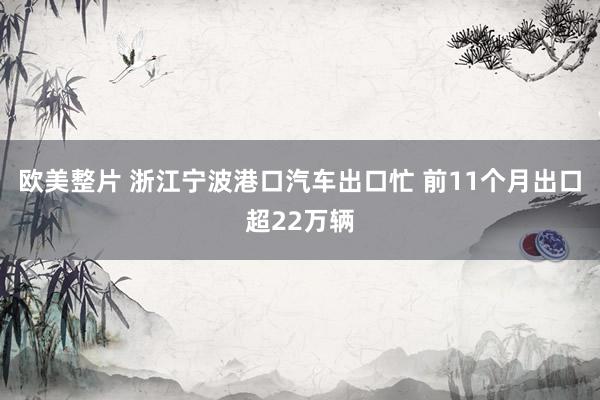 欧美整片 浙江宁波港口汽车出口忙 前11个月出口超22万辆