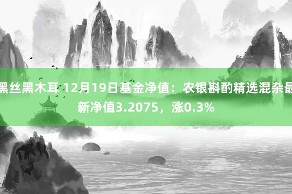 黑丝黑木耳 12月19日基金净值：农银斟酌精选混杂最新净值3.2075，涨0.3%