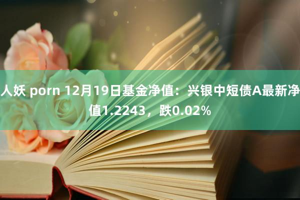 人妖 porn 12月19日基金净值：兴银中短债A最新净值1.2243，跌0.02%