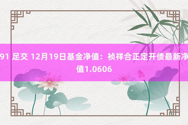 91 足交 12月19日基金净值：祯祥合正定开债最新净值1.0606