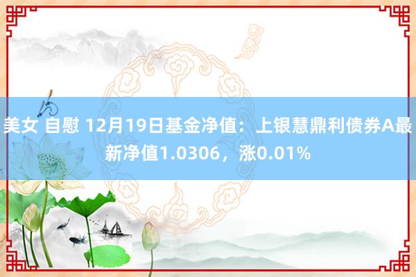 美女 自慰 12月19日基金净值：上银慧鼎利债券A最新净值1.0306，涨0.01%