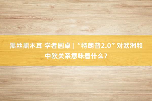 黑丝黑木耳 学者圆桌 | “特朗普2.0”对欧洲和中欧关系意味着什么？