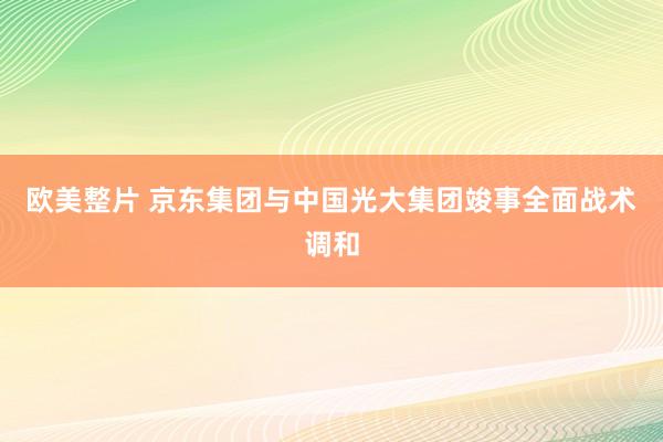 欧美整片 京东集团与中国光大集团竣事全面战术调和