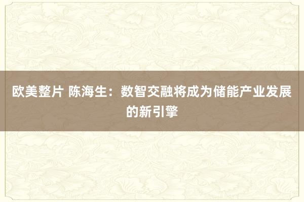 欧美整片 陈海生：数智交融将成为储能产业发展的新引擎