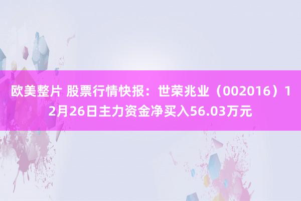 欧美整片 股票行情快报：世荣兆业（002016）12月26日主力资金净买入56.03万元