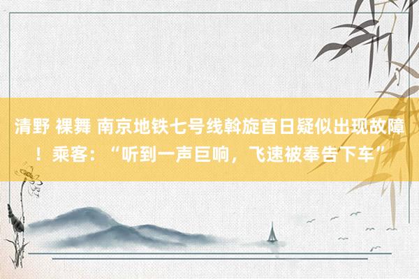 清野 裸舞 南京地铁七号线斡旋首日疑似出现故障！乘客：“听到一声巨响，飞速被奉告下车”