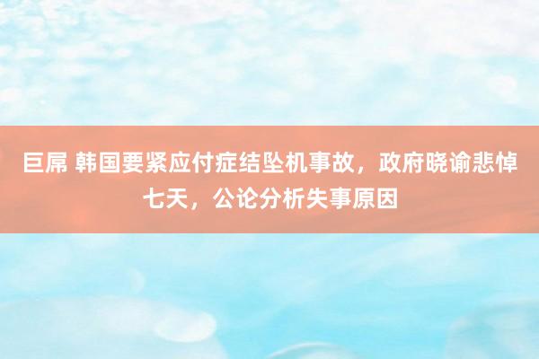 巨屌 韩国要紧应付症结坠机事故，政府晓谕悲悼七天，公论分析失事原因