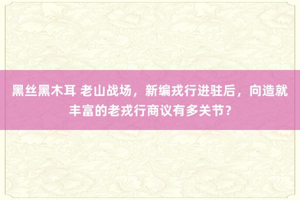 黑丝黑木耳 老山战场，新编戎行进驻后，向造就丰富的老戎行商议有多关节？