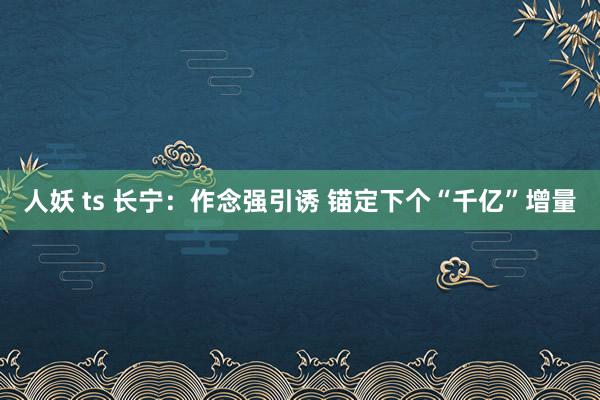 人妖 ts 长宁：作念强引诱 锚定下个“千亿”增量