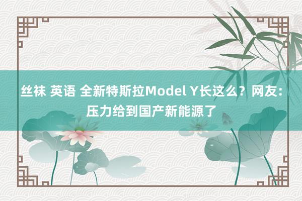 丝袜 英语 全新特斯拉Model Y长这么？网友：压力给到国产新能源了