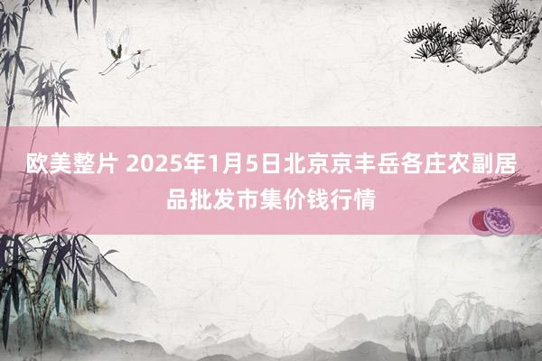 欧美整片 2025年1月5日北京京丰岳各庄农副居品批发市集价钱行情