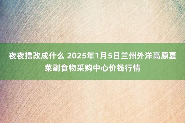 夜夜撸改成什么 2025年1月5日兰州外洋高原夏菜副食物采购中心价钱行情