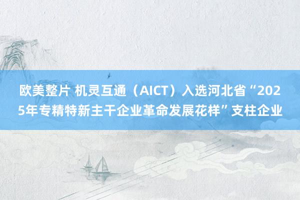 欧美整片 机灵互通（AICT）入选河北省“2025年专精特新主干企业革命发展花样”支柱企业