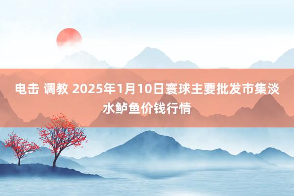 电击 调教 2025年1月10日寰球主要批发市集淡水鲈鱼价钱行情