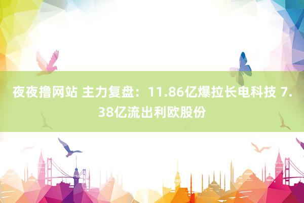 夜夜撸网站 主力复盘：11.86亿爆拉长电科技 7.38亿流出利欧股份