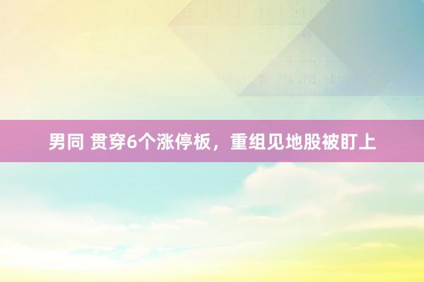 男同 贯穿6个涨停板，重组见地股被盯上