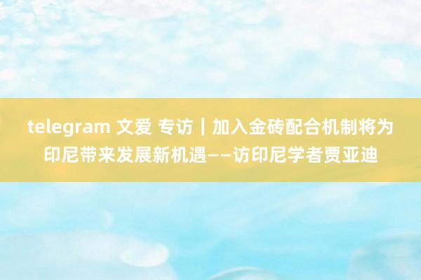 telegram 文爱 专访｜加入金砖配合机制将为印尼带来发展新机遇——访印尼学者贾亚迪