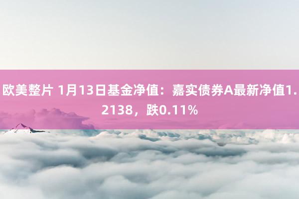 欧美整片 1月13日基金净值：嘉实债券A最新净值1.2138，跌0.11%