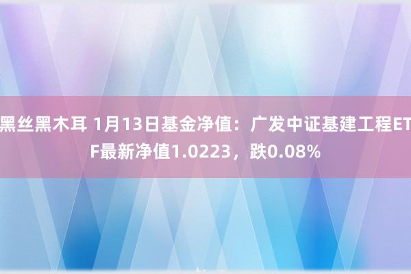 黑丝黑木耳 1月13日基金净值：广发中证基建工程ETF最新净值1.0223，跌0.08%