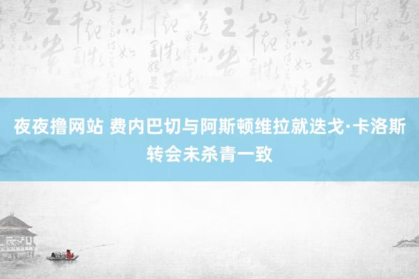 夜夜撸网站 费内巴切与阿斯顿维拉就迭戈·卡洛斯转会未杀青一致