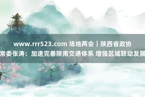 www.rrr523.com 场地两会｜陕西省政协常委张涛：加速完善陕南交通体系 增强区域联动发展