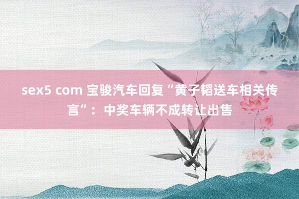 sex5 com 宝骏汽车回复“黄子韬送车相关传言”：中奖车辆不成转让出售